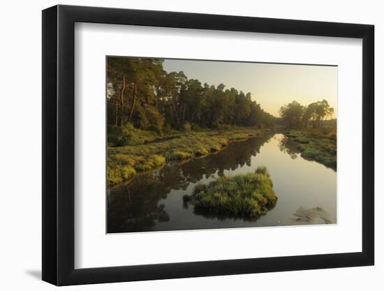 River Delta at Dawn, Karavasta Lagoons National Park, Albania, June 2009-Geidemark-Framed Photographic Print