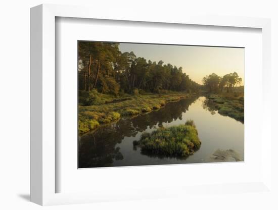 River Delta at Dawn, Karavasta Lagoons National Park, Albania, June 2009-Geidemark-Framed Photographic Print