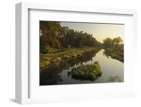 River Delta at Dawn, Karavasta Lagoons National Park, Albania, June 2009-Geidemark-Framed Photographic Print