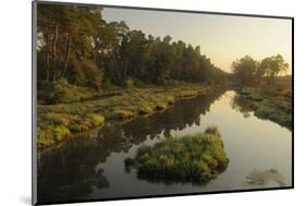 River Delta at Dawn, Karavasta Lagoons National Park, Albania, June 2009-Geidemark-Mounted Photographic Print
