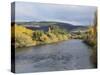 River Derwent, Bushy Park, Tasmania, Australia, Pacific-Jochen Schlenker-Stretched Canvas