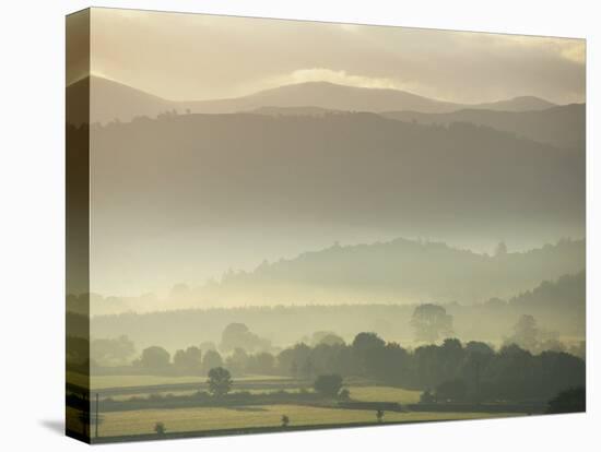 River Derwent Valley, Lake District, Cumbria, England, UK-Neale Clarke-Stretched Canvas