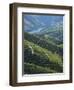 River Douro, Douro Region, Northern Portugal-Alan Copson-Framed Photographic Print