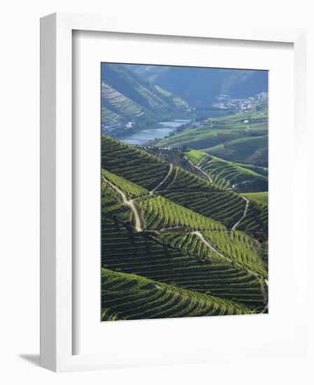 River Douro, Douro Region, Northern Portugal-Alan Copson-Framed Photographic Print