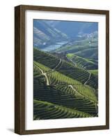 River Douro, Douro Region, Northern Portugal-Alan Copson-Framed Photographic Print