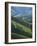 River Douro, Douro Region, Northern Portugal-Alan Copson-Framed Photographic Print