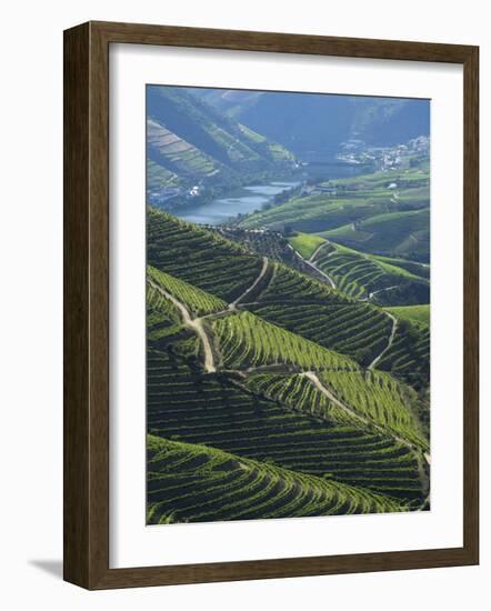 River Douro, Douro Region, Northern Portugal-Alan Copson-Framed Photographic Print