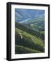 River Douro, Douro Region, Northern Portugal-Alan Copson-Framed Photographic Print