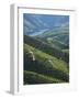 River Douro, Douro Region, Northern Portugal-Alan Copson-Framed Photographic Print