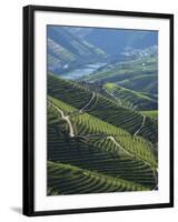 River Douro, Douro Region, Northern Portugal-Alan Copson-Framed Photographic Print