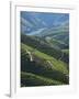 River Douro, Douro Region, Northern Portugal-Alan Copson-Framed Photographic Print