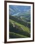 River Douro, Douro Region, Northern Portugal-Alan Copson-Framed Photographic Print