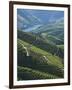 River Douro, Douro Region, Northern Portugal-Alan Copson-Framed Photographic Print