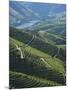 River Douro, Douro Region, Northern Portugal-Alan Copson-Mounted Photographic Print