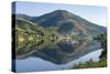 River Douro near Covelinhas. It is the wine growing area Alto Douro and listed as UNESCO World Heri-Martin Zwick-Stretched Canvas