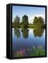 River Exe Near Brampford Speke, Devon, England, United Kingdom, Europe-Jeremy Lightfoot-Framed Stretched Canvas