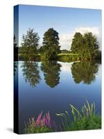 River Exe Near Brampford Speke, Devon, England, United Kingdom, Europe-Jeremy Lightfoot-Stretched Canvas