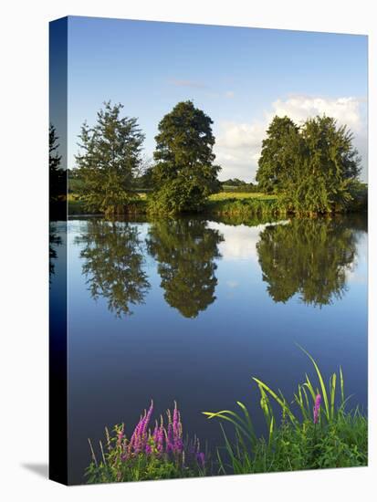 River Exe Near Brampford Speke, Devon, England, United Kingdom, Europe-Jeremy Lightfoot-Stretched Canvas