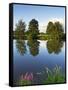 River Exe Near Brampford Speke, Devon, England, United Kingdom, Europe-Jeremy Lightfoot-Framed Stretched Canvas