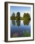 River Exe Near Brampford Speke, Devon, England, United Kingdom, Europe-Jeremy Lightfoot-Framed Photographic Print