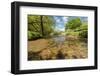 River Exe, Near Winsford, Exmoor National Park, Somerset, UK-Ross Hoddinott-Framed Photographic Print