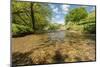 River Exe, Near Winsford, Exmoor National Park, Somerset, UK-Ross Hoddinott-Mounted Photographic Print