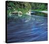 River Flow-null-Stretched Canvas