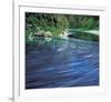 River Flow-null-Framed Art Print