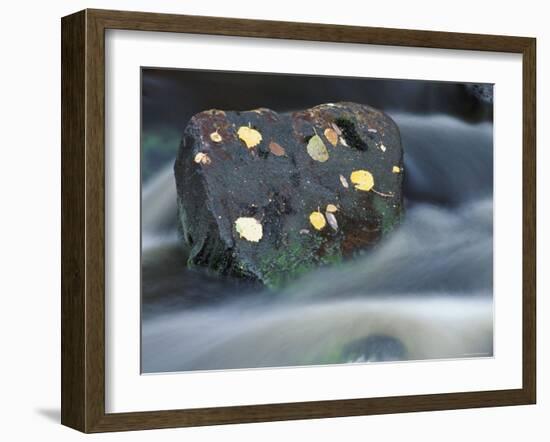 River Flowing Around Rock, Scotland, UK-Pete Cairns-Framed Photographic Print