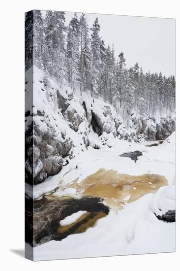 River Flowing in Snowy Winter Forest-Risto0-Stretched Canvas