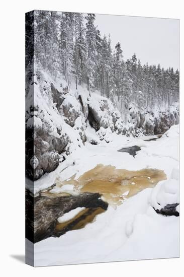 River Flowing in Snowy Winter Forest-Risto0-Stretched Canvas