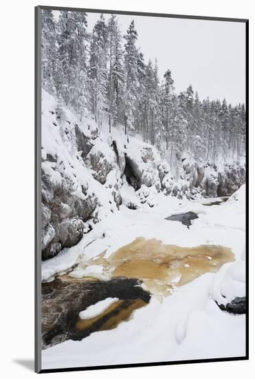 River Flowing in Snowy Winter Forest-Risto0-Mounted Photographic Print
