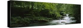 River Flowing in the Forest, Aberfeldy, Perthshire, Scotland-null-Stretched Canvas