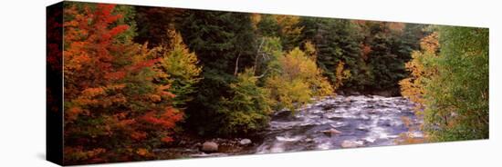 River Flowing Through a Forest, Ausable River, Adirondack Mountains, Wilmington, Essex County-null-Stretched Canvas