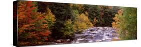 River Flowing Through a Forest, Ausable River, Adirondack Mountains, Wilmington, Essex County-null-Stretched Canvas