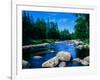 River flowing through a forest, Ausable River, Lake Placid, Adirondack Mountains, Essex County,...-null-Framed Photographic Print