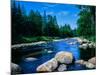 River flowing through a forest, Ausable River, Lake Placid, Adirondack Mountains, Essex County,...-null-Mounted Photographic Print