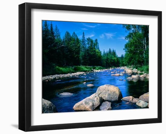 River flowing through a forest, Ausable River, Lake Placid, Adirondack Mountains, Essex County,...-null-Framed Photographic Print