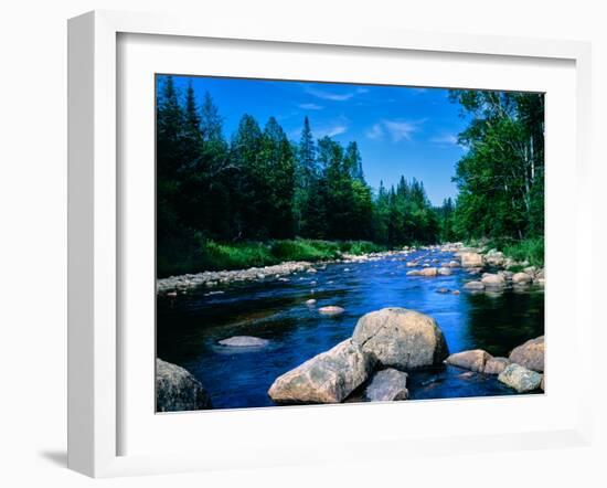 River flowing through a forest, Ausable River, Lake Placid, Adirondack Mountains, Essex County,...-null-Framed Photographic Print