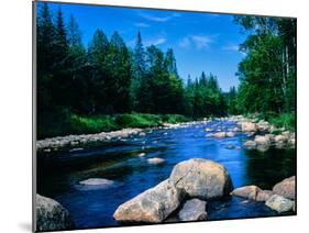 River flowing through a forest, Ausable River, Lake Placid, Adirondack Mountains, Essex County,...-null-Mounted Photographic Print