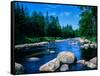 River flowing through a forest, Ausable River, Lake Placid, Adirondack Mountains, Essex County,...-null-Framed Stretched Canvas