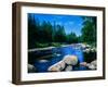 River flowing through a forest, Ausable River, Lake Placid, Adirondack Mountains, Essex County,...-null-Framed Premium Photographic Print