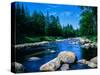 River flowing through a forest, Ausable River, Lake Placid, Adirondack Mountains, Essex County,...-null-Stretched Canvas