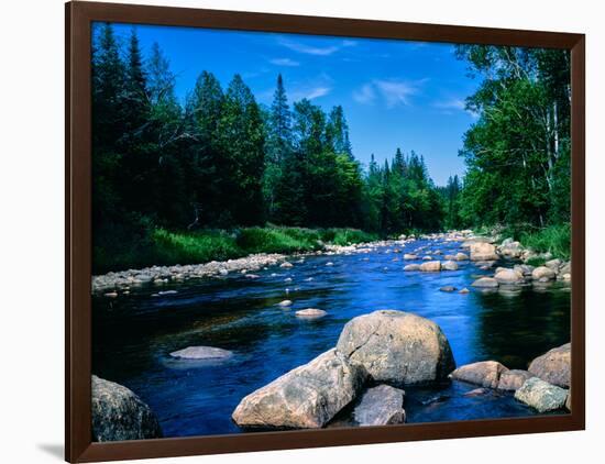 River flowing through a forest, Ausable River, Lake Placid, Adirondack Mountains, Essex County,...-null-Framed Photographic Print