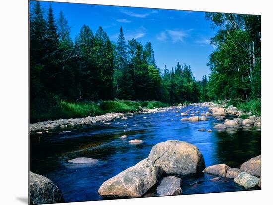 River flowing through a forest, Ausable River, Lake Placid, Adirondack Mountains, Essex County,...-null-Mounted Photographic Print