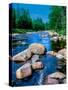 River flowing through a forest, Ausable River, Lake Placid, Adirondack Mountains, Essex County,...-null-Stretched Canvas