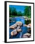 River flowing through a forest, Ausable River, Lake Placid, Adirondack Mountains, Essex County,...-null-Framed Photographic Print