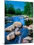 River flowing through a forest, Ausable River, Lake Placid, Adirondack Mountains, Essex County,...-null-Mounted Photographic Print