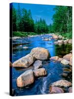 River flowing through a forest, Ausable River, Lake Placid, Adirondack Mountains, Essex County,...-null-Stretched Canvas