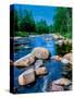 River flowing through a forest, Ausable River, Lake Placid, Adirondack Mountains, Essex County,...-null-Stretched Canvas
